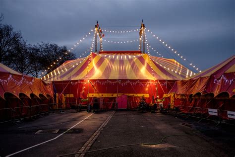 The Circus Night Bodog